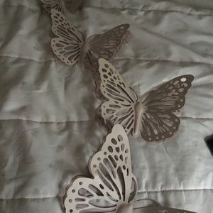 Butterfly’s🦋
